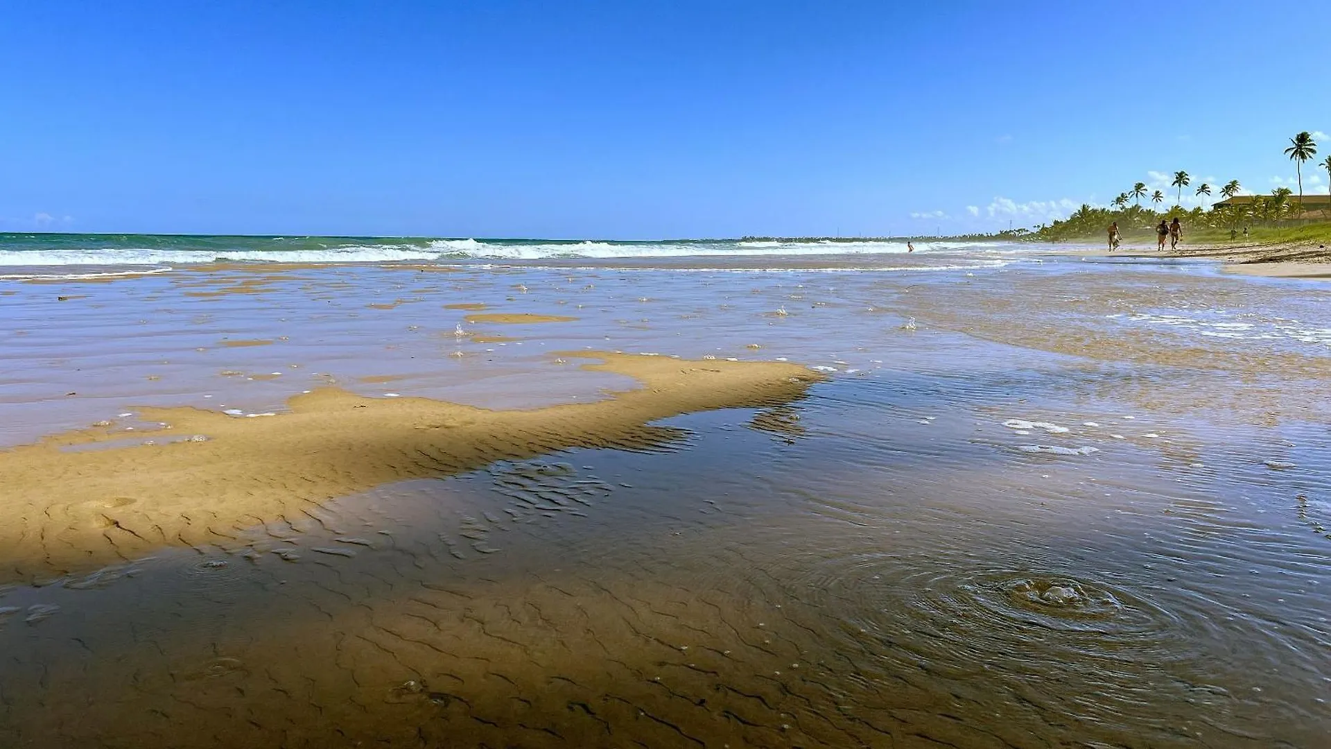 Cupe Garden #315 - Porto De Galinhas Por Carpediem 0*,  Brazil